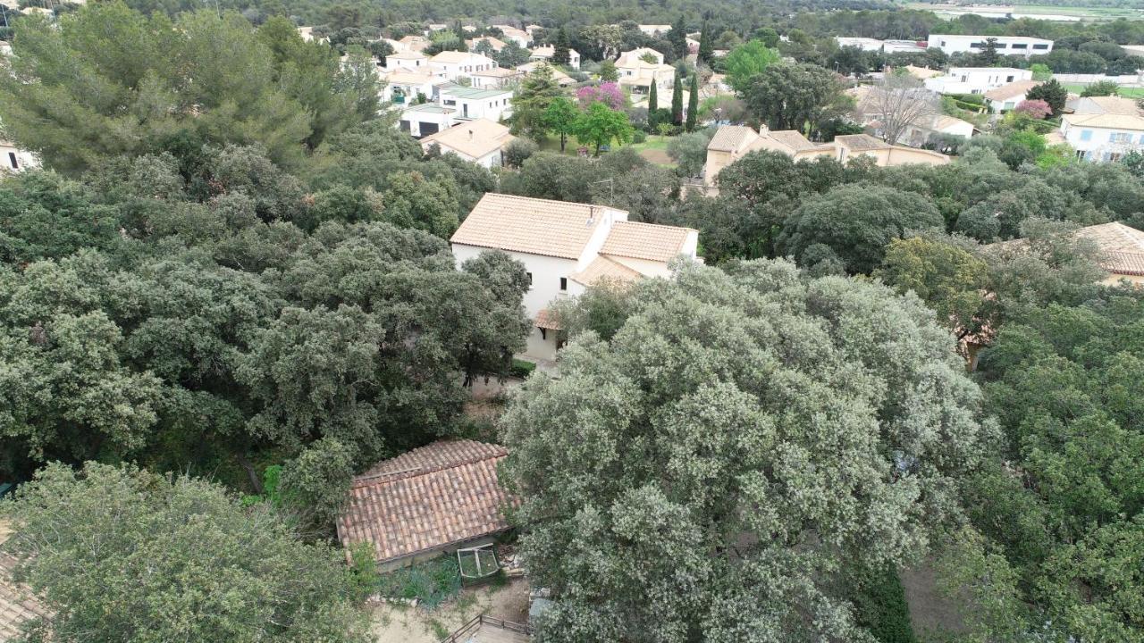 Magnifique Demeure Familiale Villa Castries Bagian luar foto